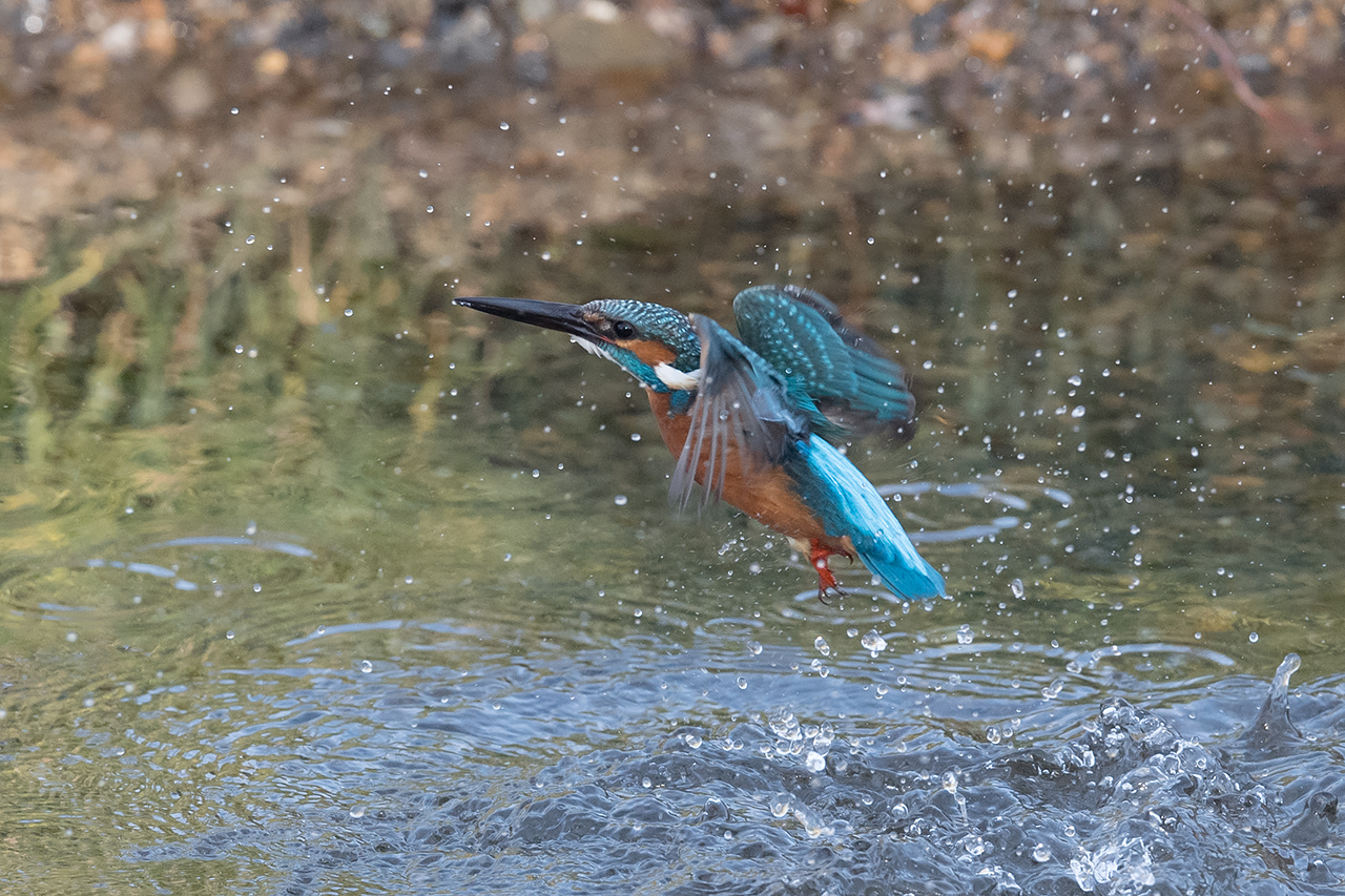 f:id:xjmarin:20201214173704j:plain