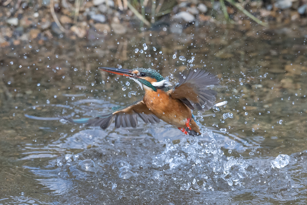 f:id:xjmarin:20210211195456j:plain