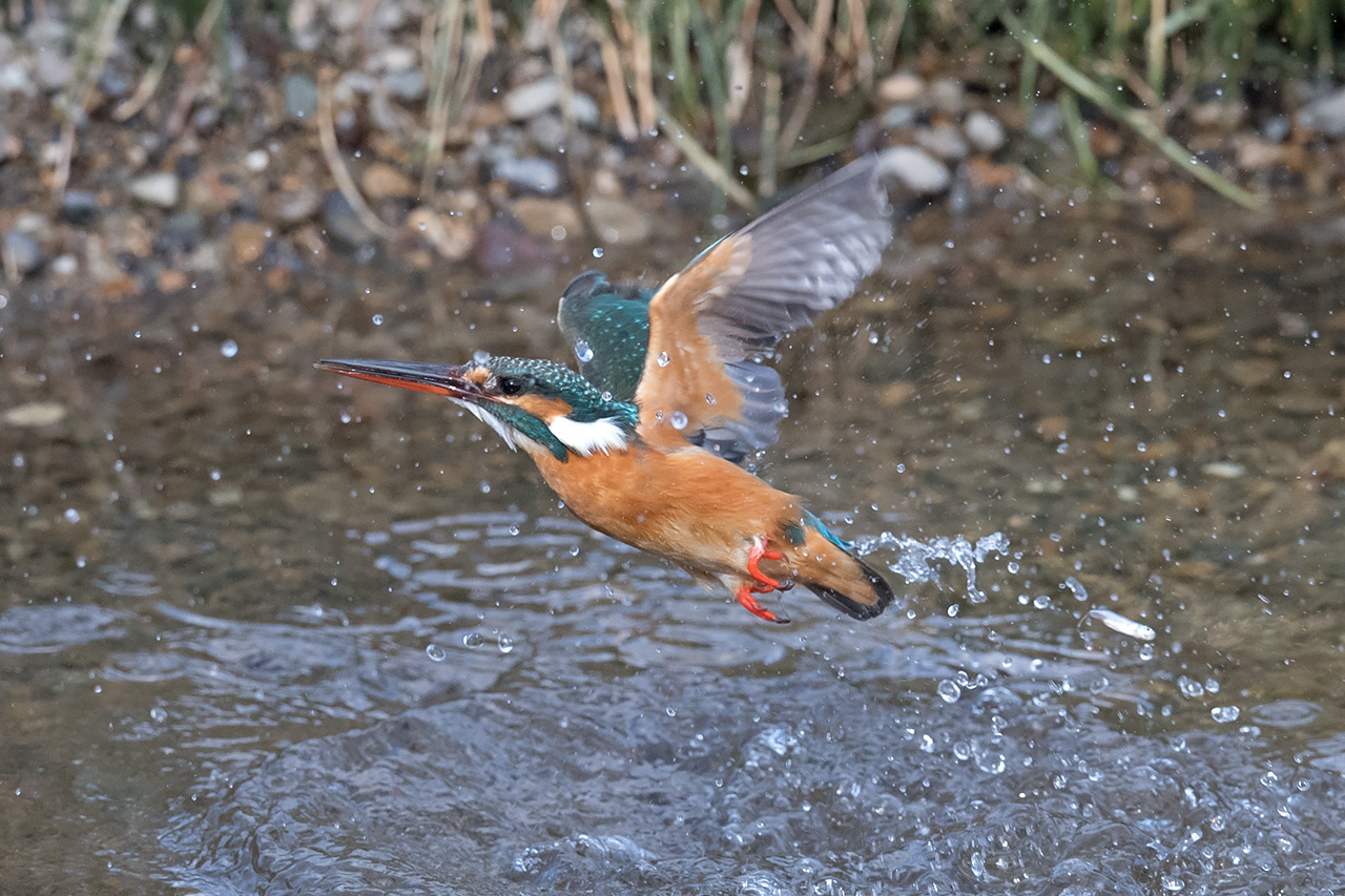 f:id:xjmarin:20210211195457j:plain