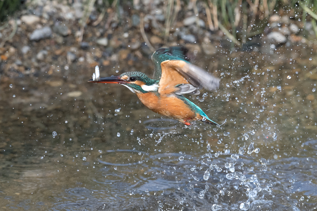 f:id:xjmarin:20210211195511j:plain