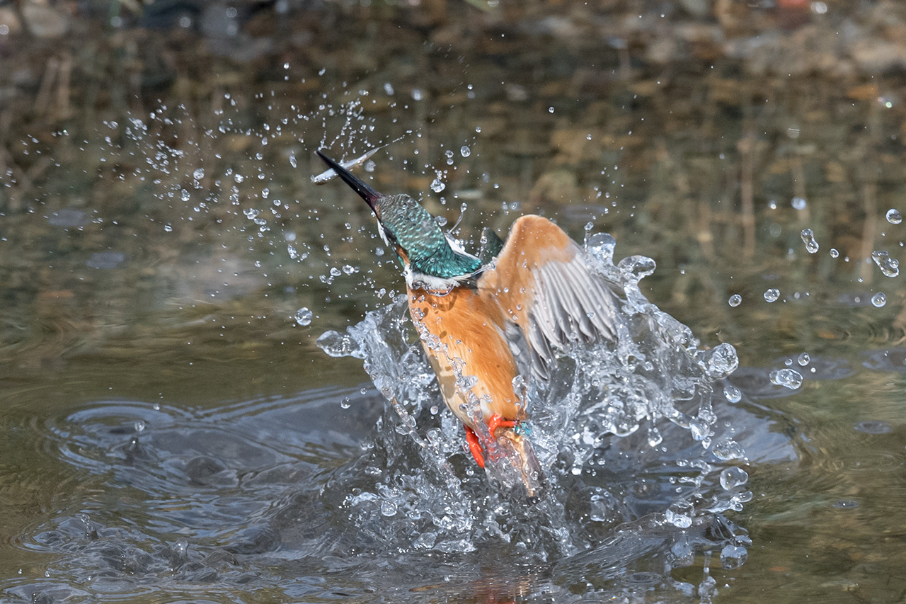 f:id:xjmarin:20210211195517j:plain