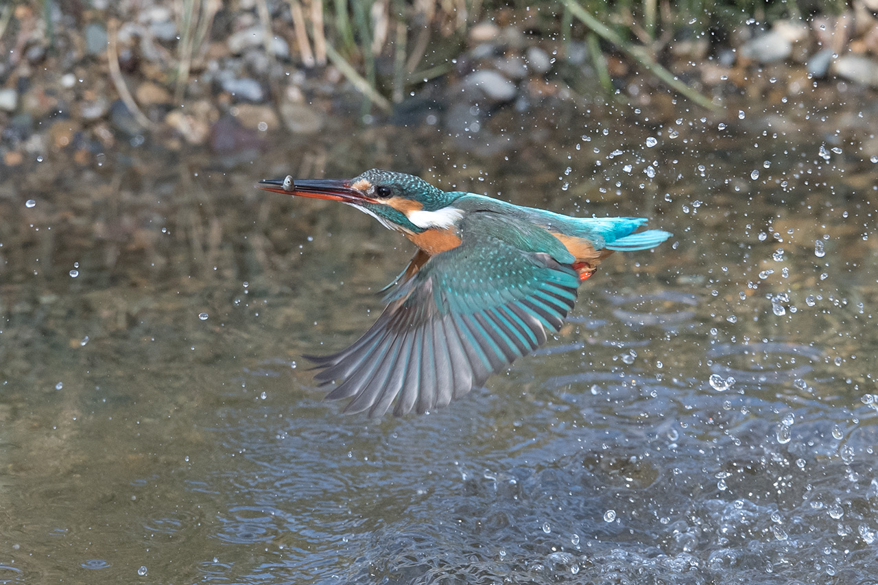 f:id:xjmarin:20210211195519j:plain