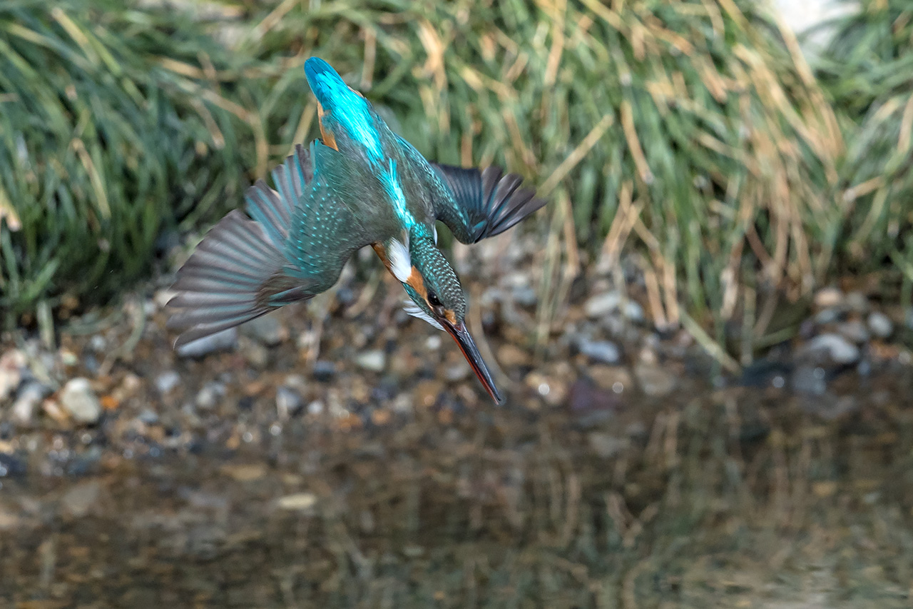 f:id:xjmarin:20210211195520j:plain