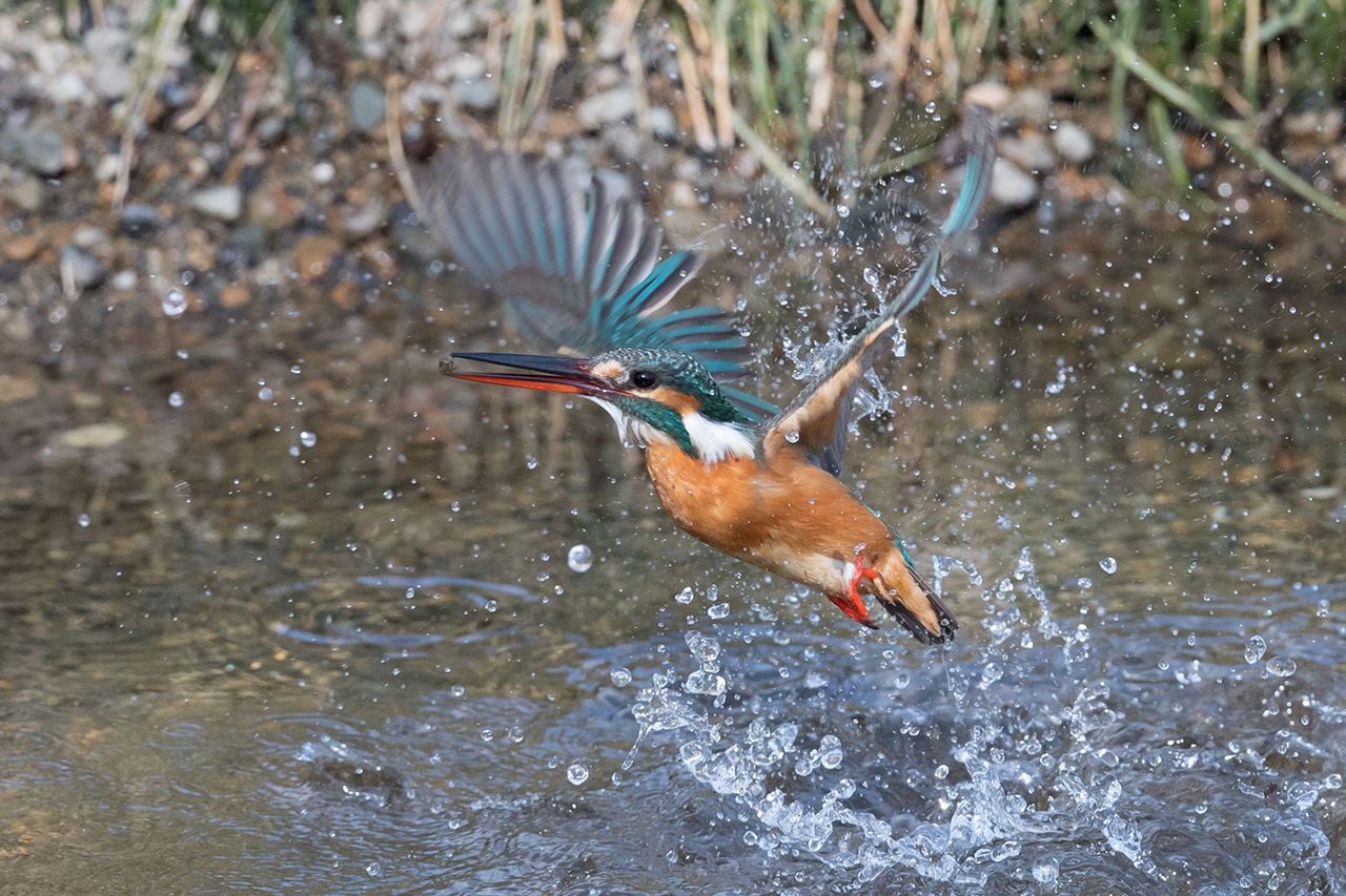 f:id:xjmarin:20210211195522j:plain