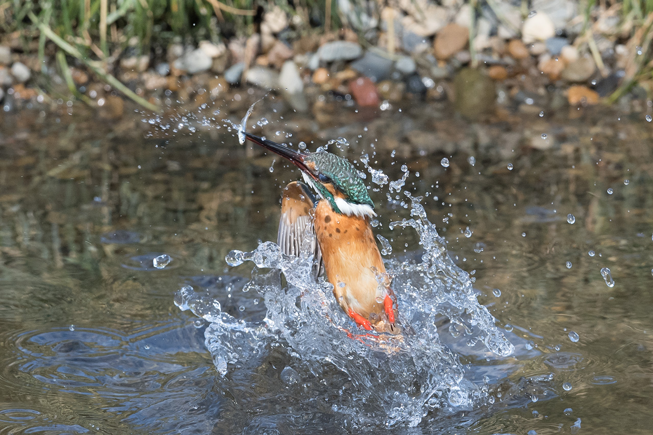 f:id:xjmarin:20210211195528j:plain