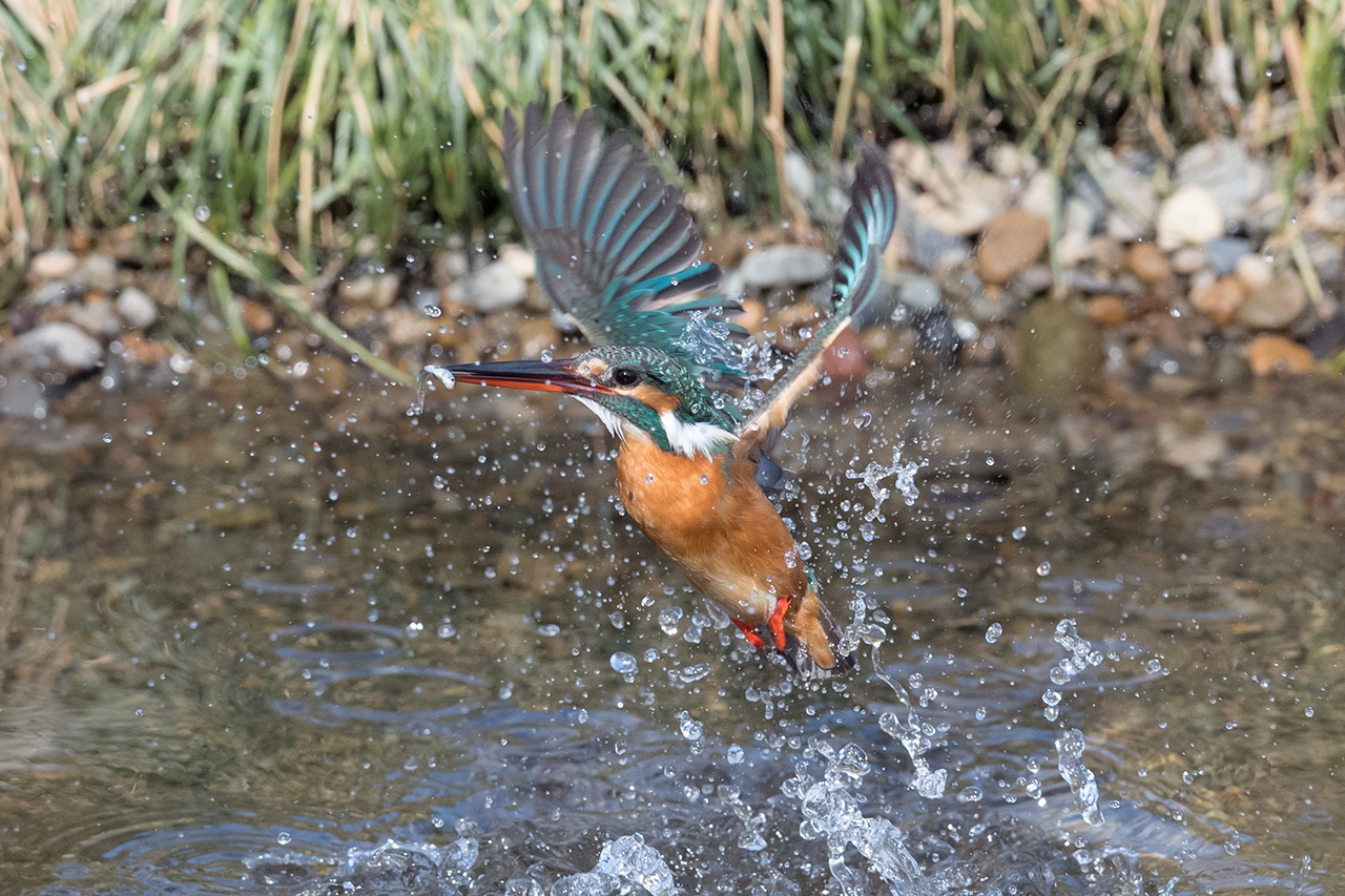 f:id:xjmarin:20210211195530j:plain