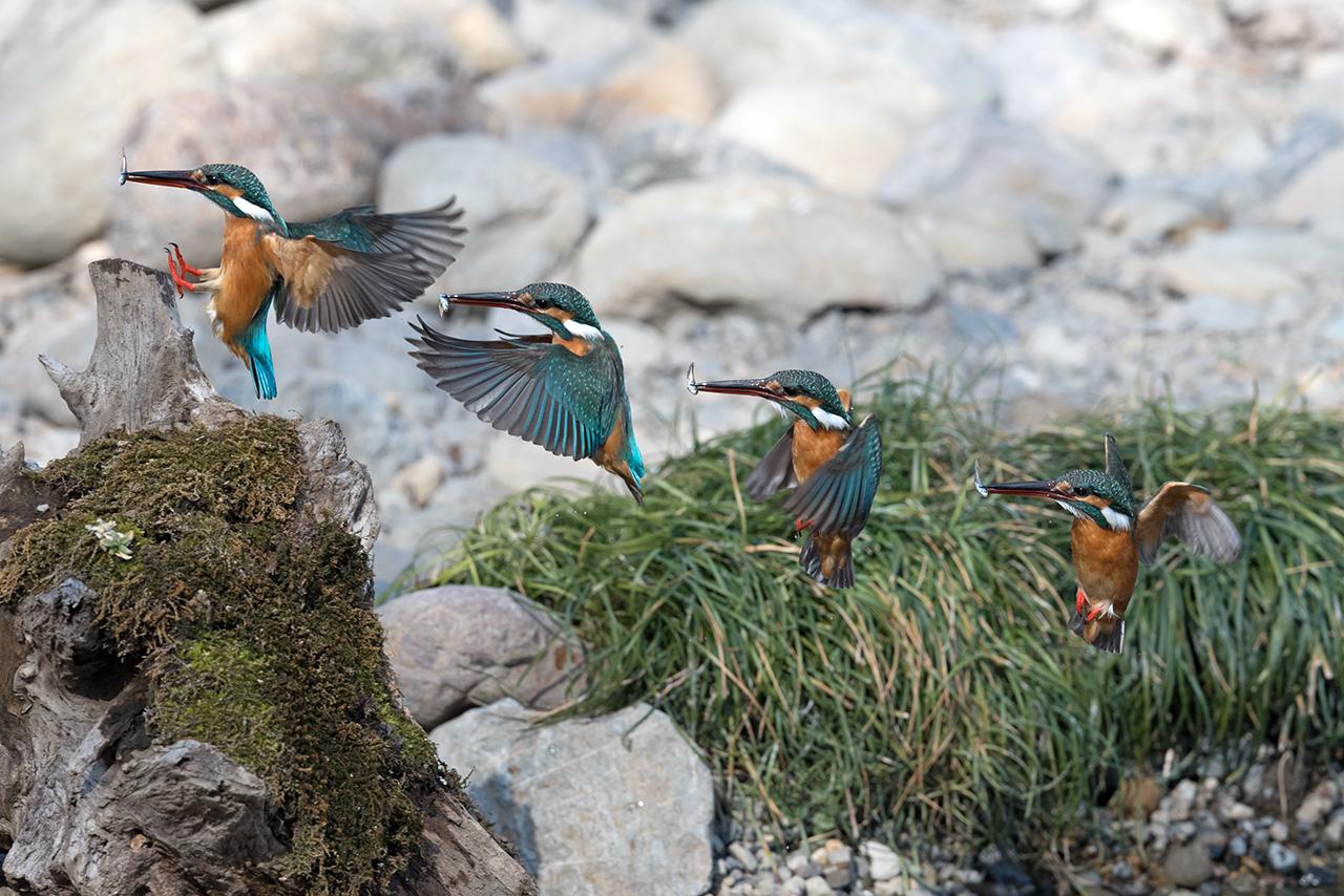 f:id:xjmarin:20210211195531j:plain