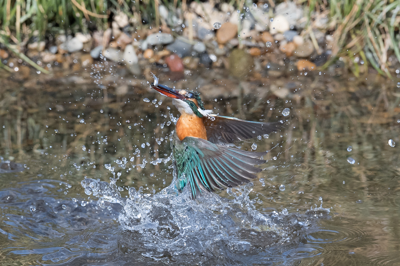 f:id:xjmarin:20210211195534j:plain