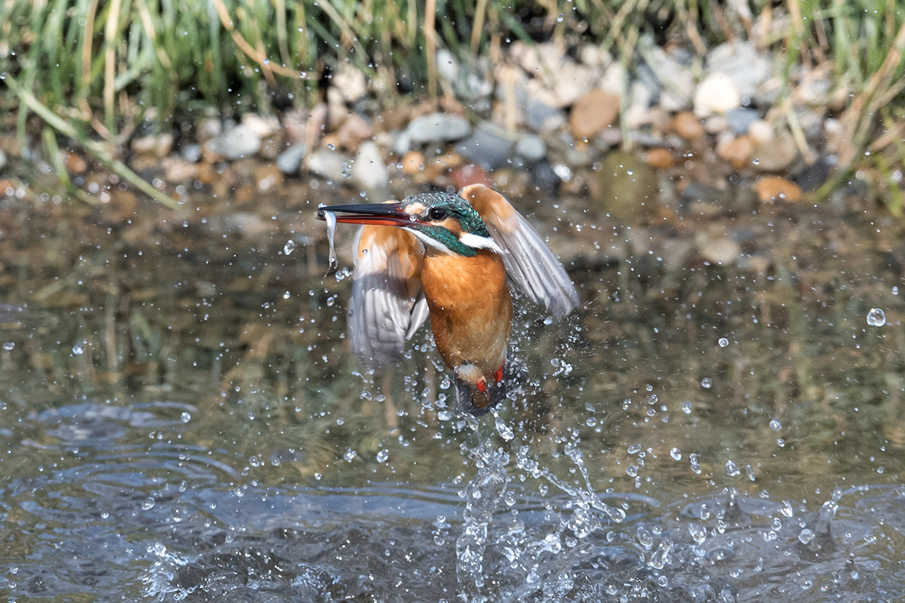 f:id:xjmarin:20210211195536j:plain