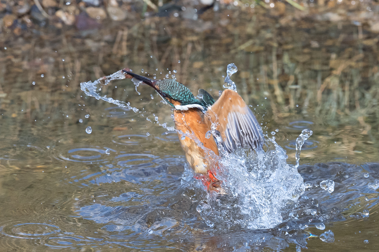 f:id:xjmarin:20210211195539j:plain