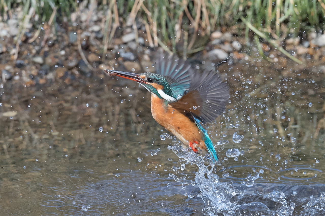 f:id:xjmarin:20210211195541j:plain