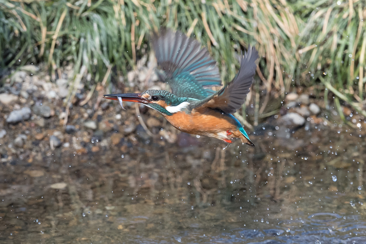 f:id:xjmarin:20210211195548j:plain