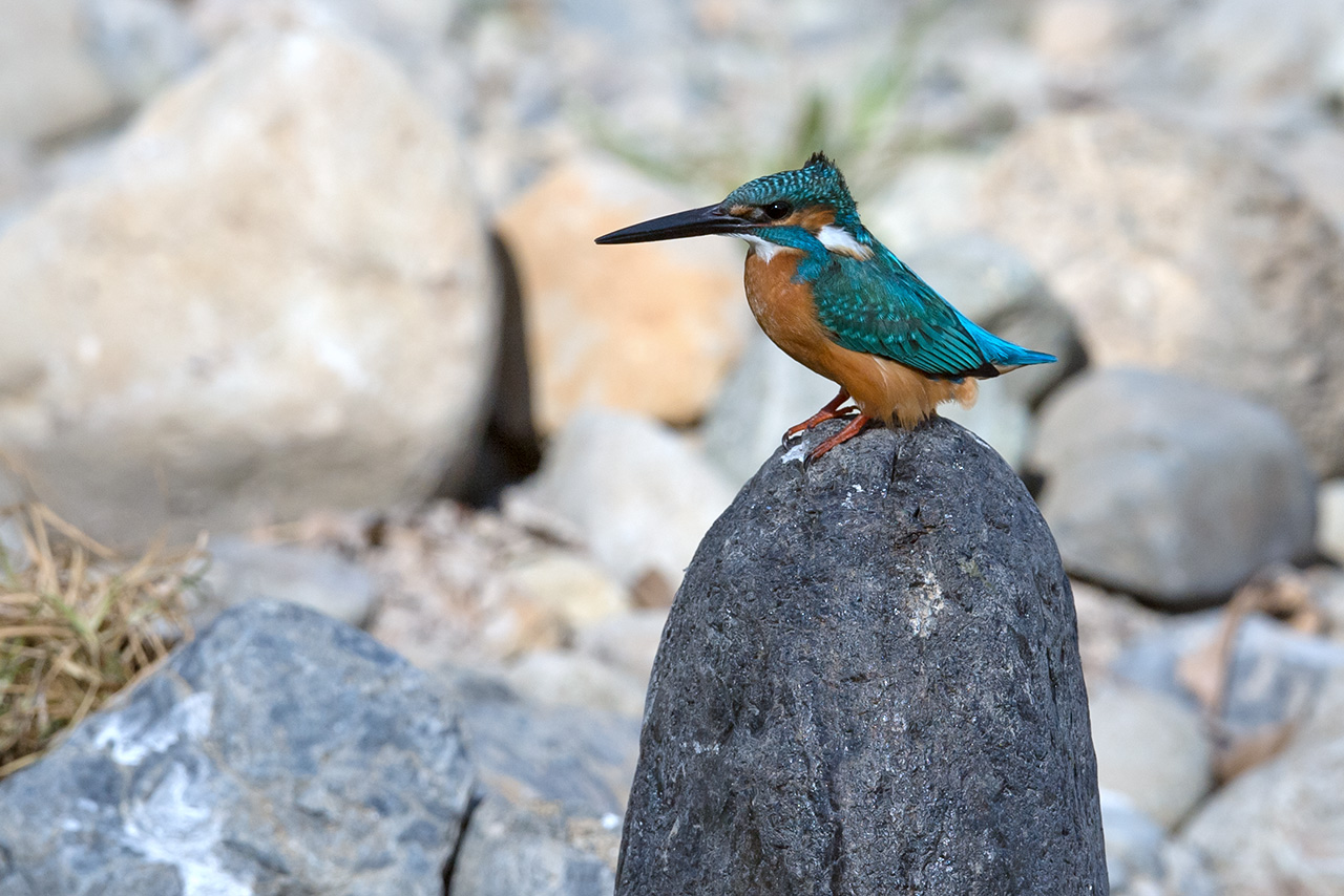 f:id:xjmarin:20210211195555j:plain