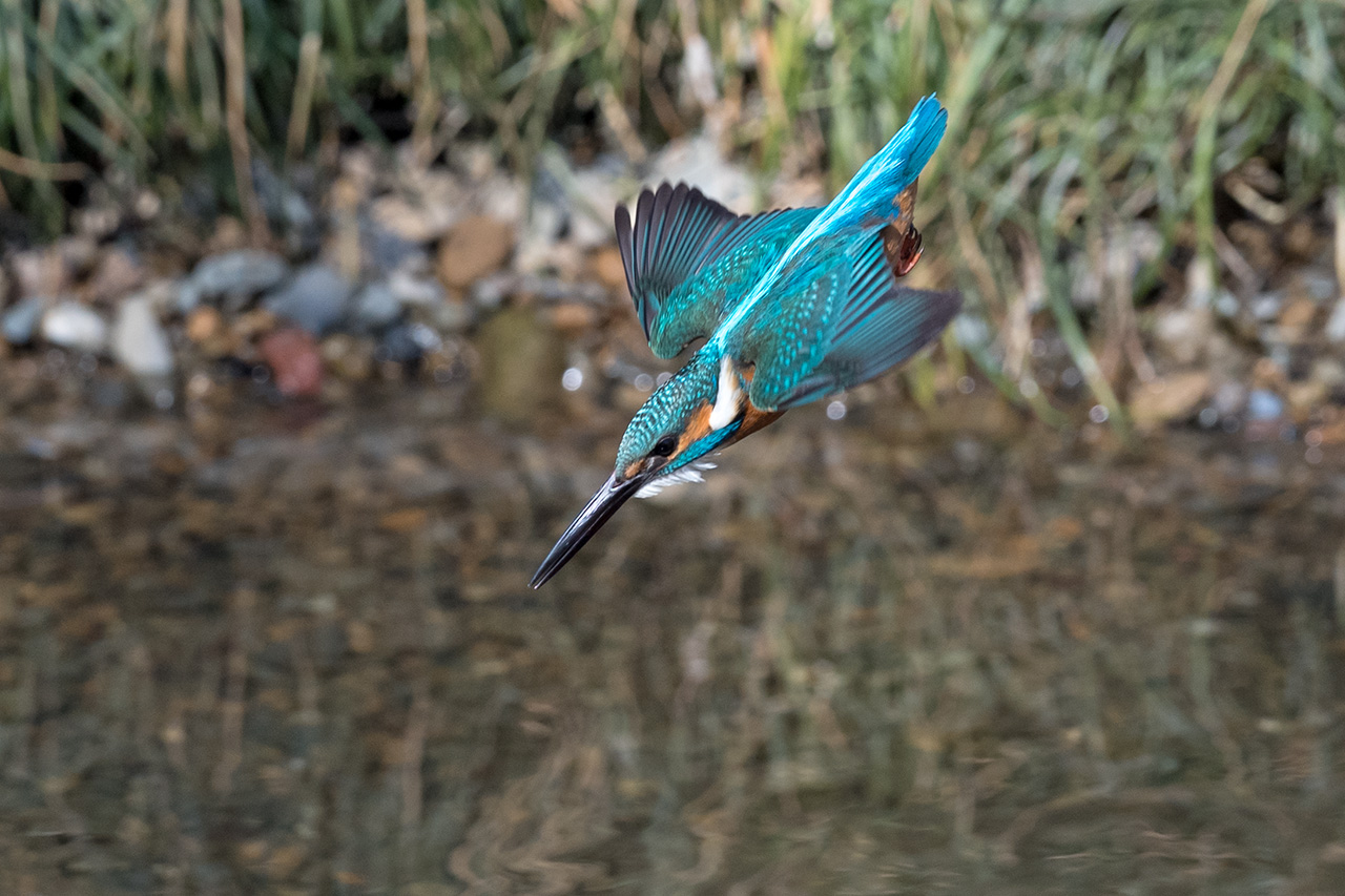 f:id:xjmarin:20210211195556j:plain