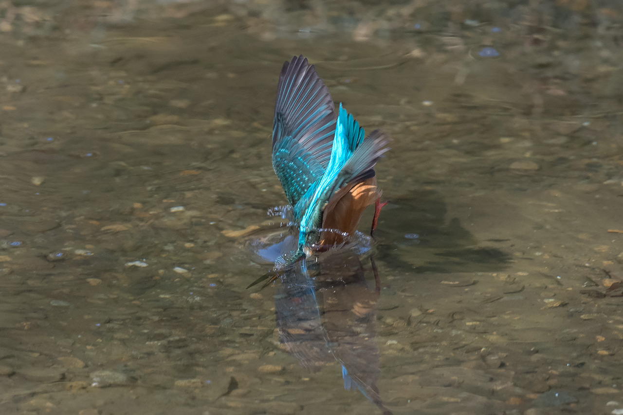 f:id:xjmarin:20210211195559j:plain