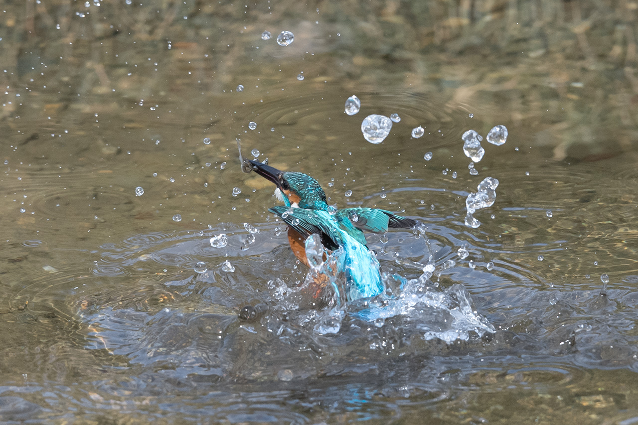 f:id:xjmarin:20210211195618j:plain