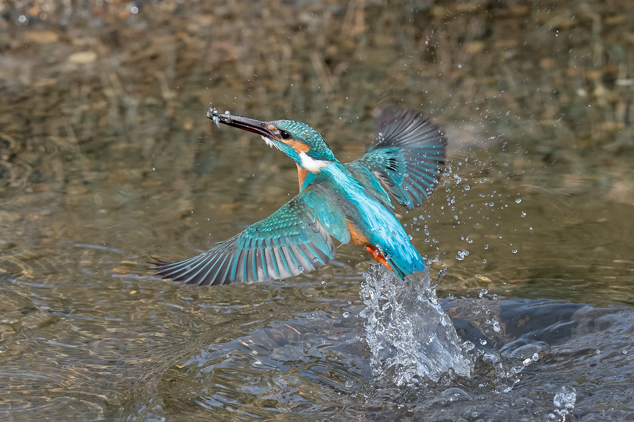 f:id:xjmarin:20210211195620j:plain