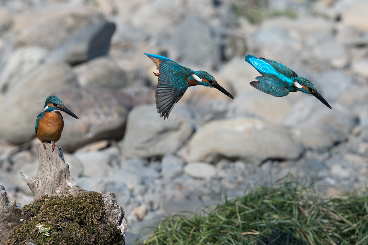 f:id:xjmarin:20210211195622j:plain