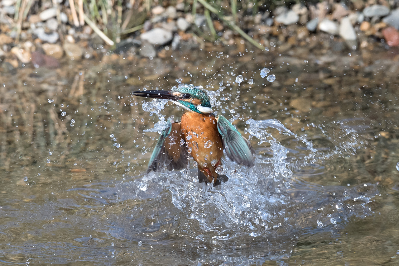 f:id:xjmarin:20210211195624j:plain