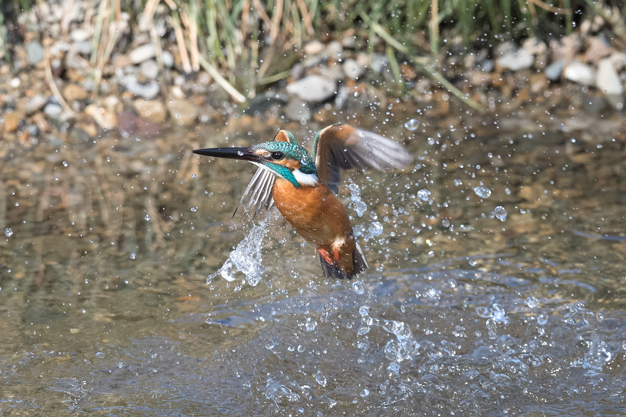 f:id:xjmarin:20210211195625j:plain