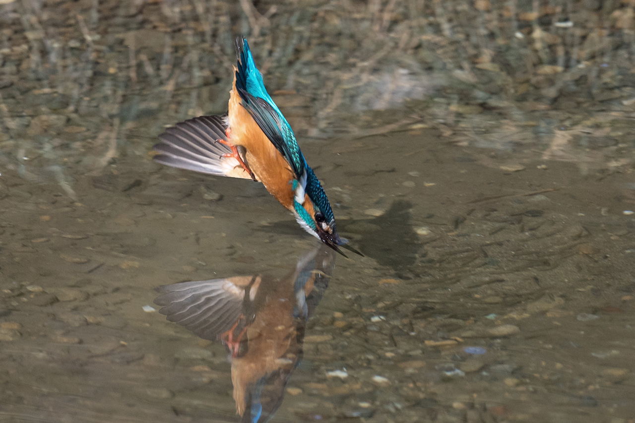 f:id:xjmarin:20210211195628j:plain