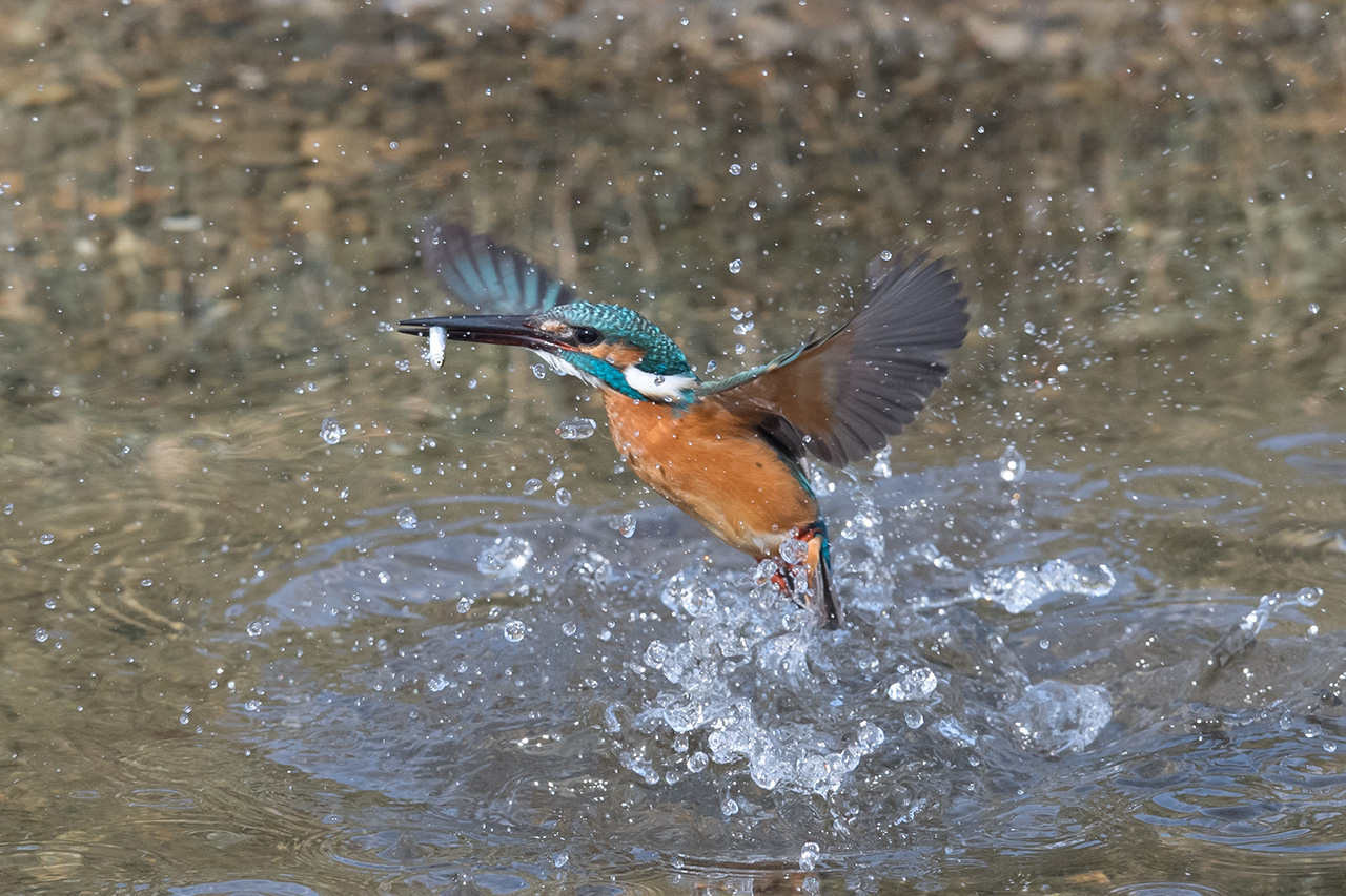 f:id:xjmarin:20210211195631j:plain