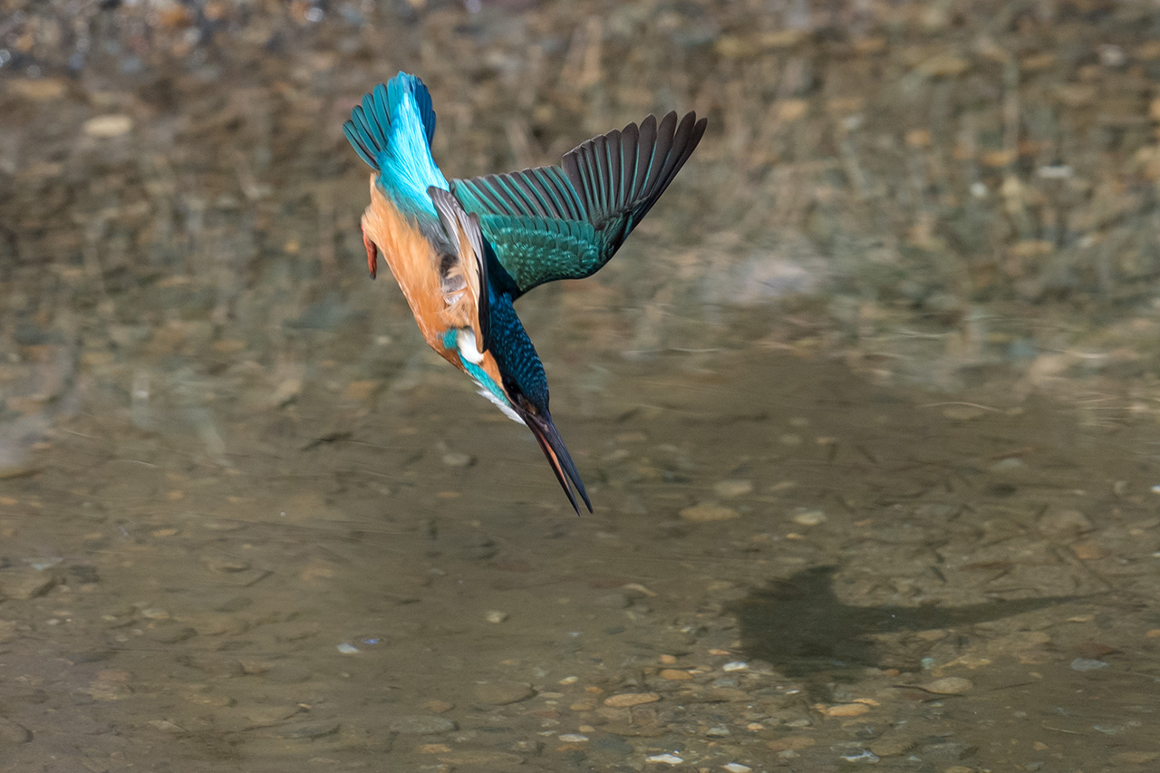 f:id:xjmarin:20210211195634j:plain