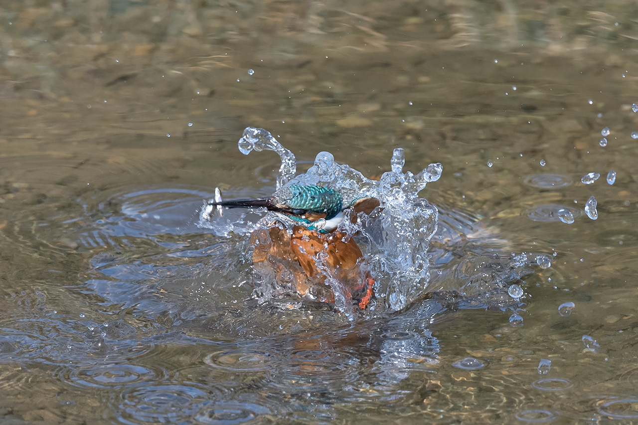 f:id:xjmarin:20210211195635j:plain