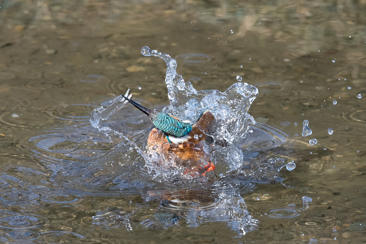 f:id:xjmarin:20210211195642j:plain