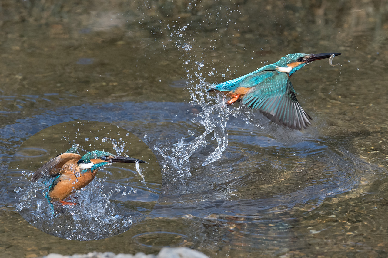 f:id:xjmarin:20210211202158j:plain