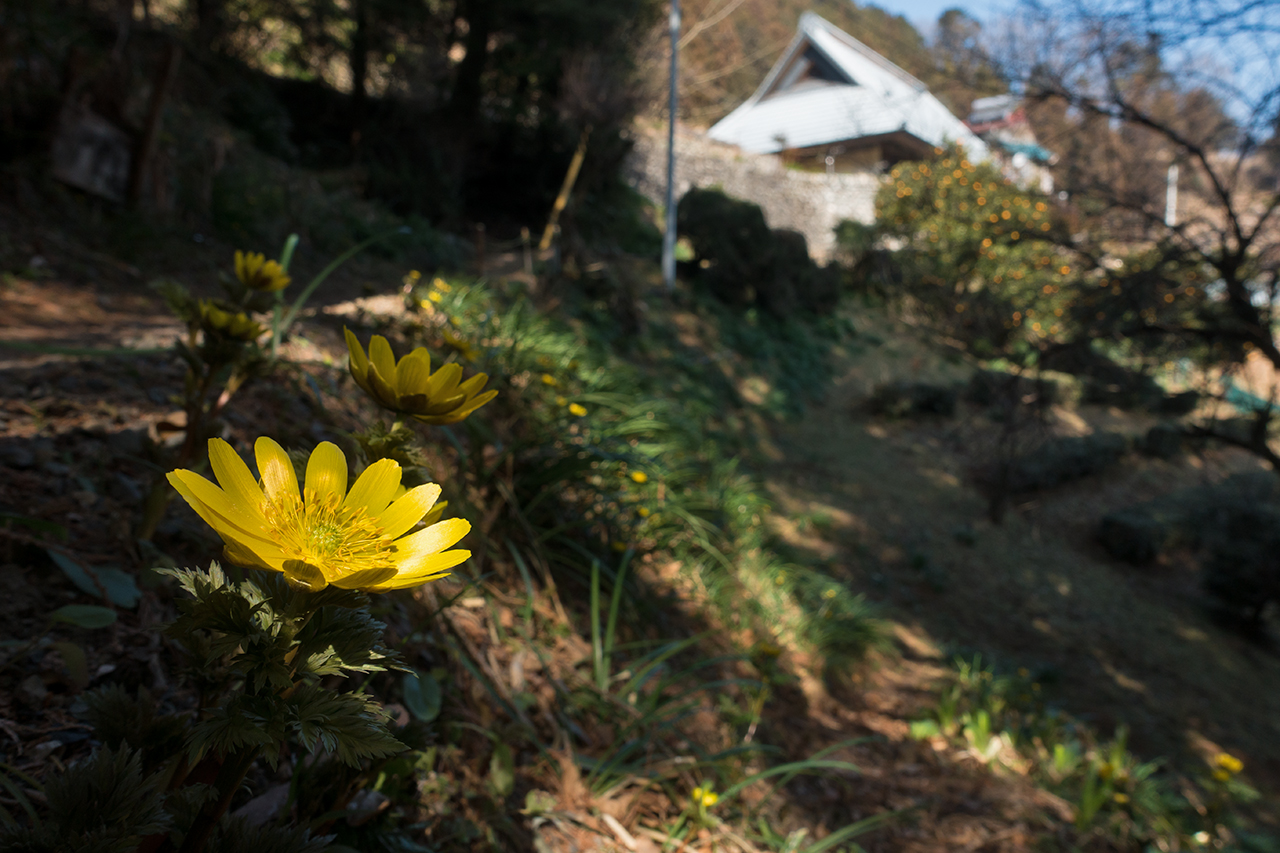 f:id:xjmarin:20210213171439j:plain