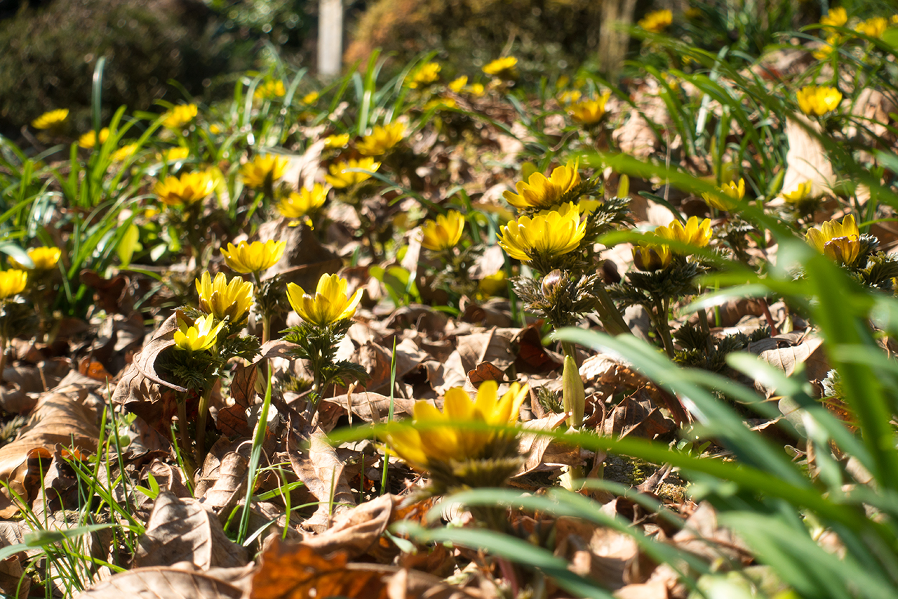 f:id:xjmarin:20210213171455j:plain