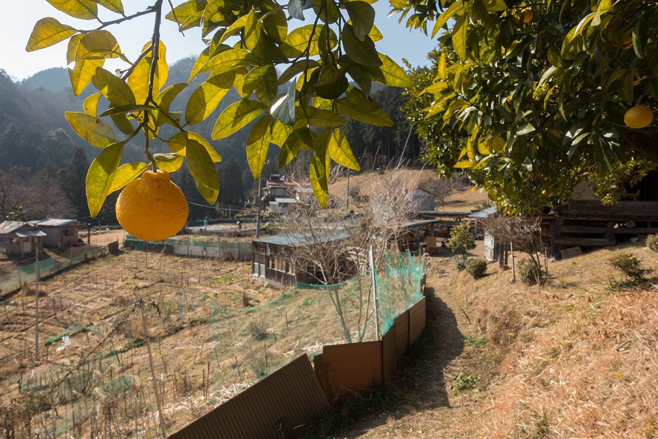 f:id:xjmarin:20210213171523j:plain