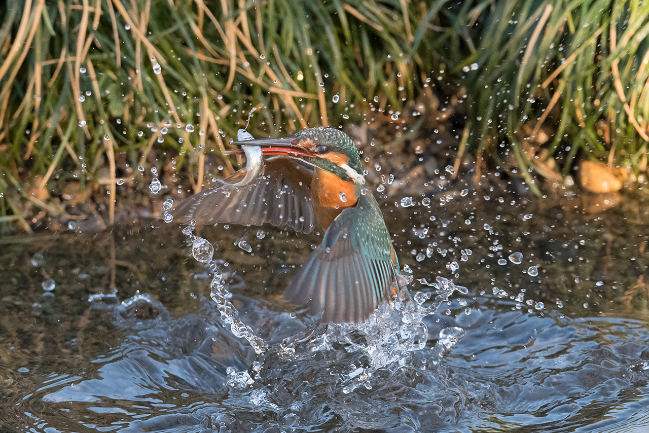 f:id:xjmarin:20210220185714j:plain