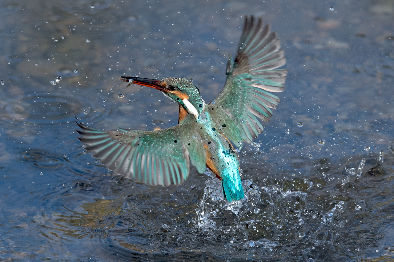 f:id:xjmarin:20210220185813j:plain