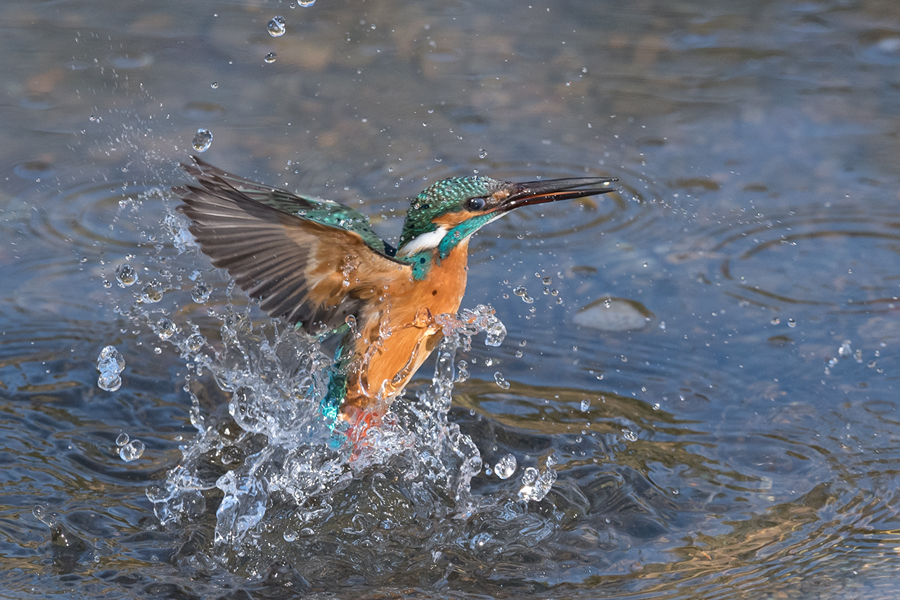 f:id:xjmarin:20210220185818j:plain