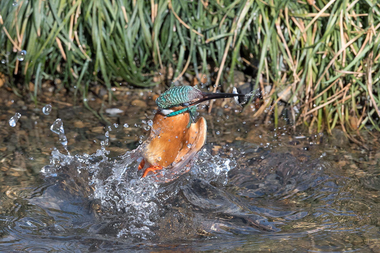 f:id:xjmarin:20210220185831j:plain