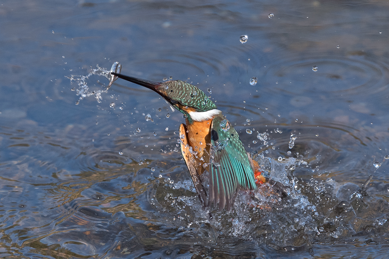 f:id:xjmarin:20210220185856j:plain