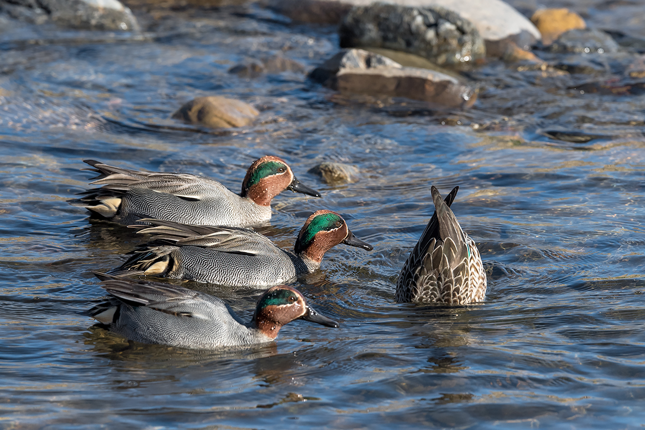 f:id:xjmarin:20210220190021j:plain