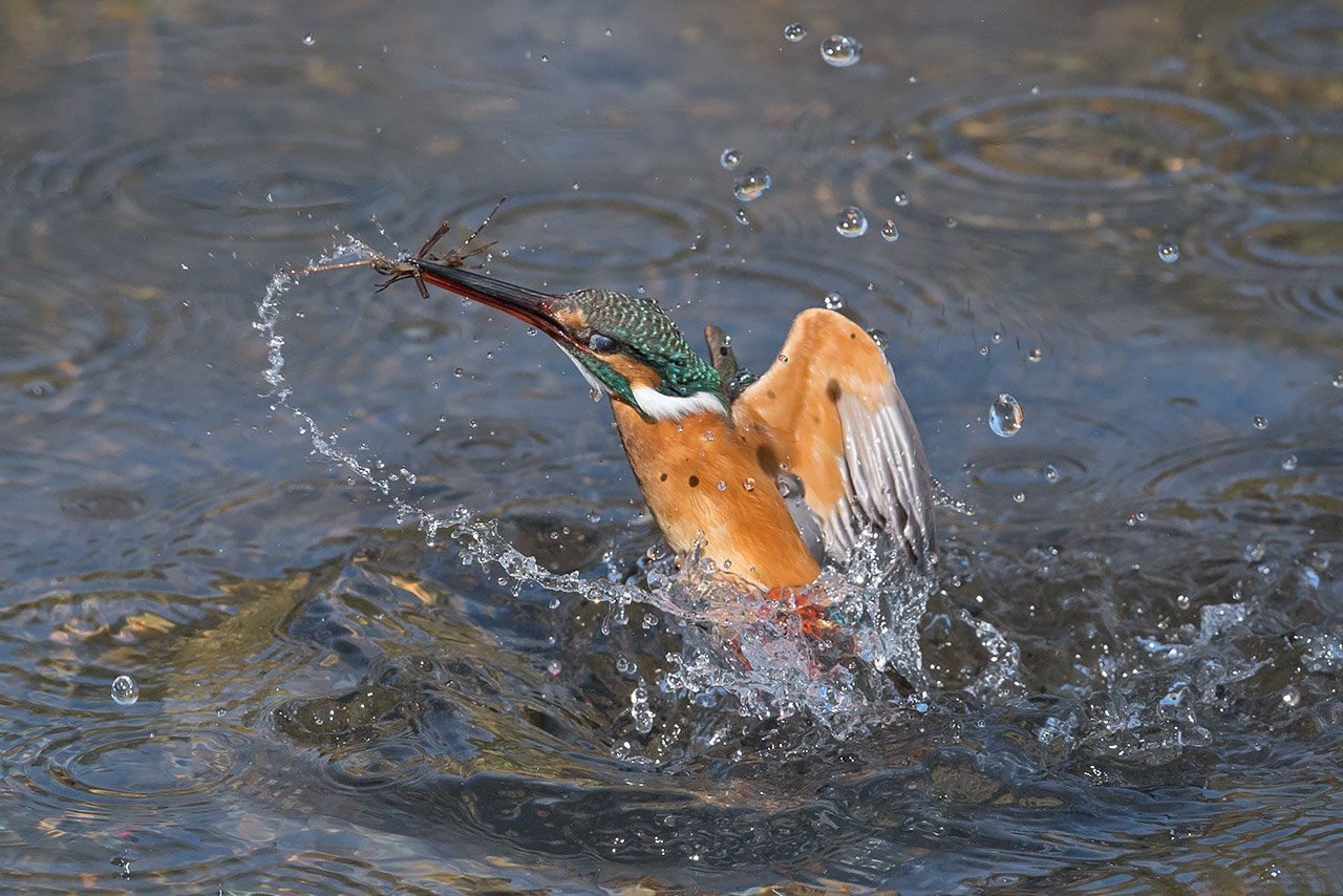 f:id:xjmarin:20210220190059j:plain