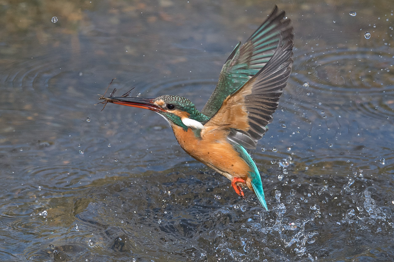 f:id:xjmarin:20210220190101j:plain