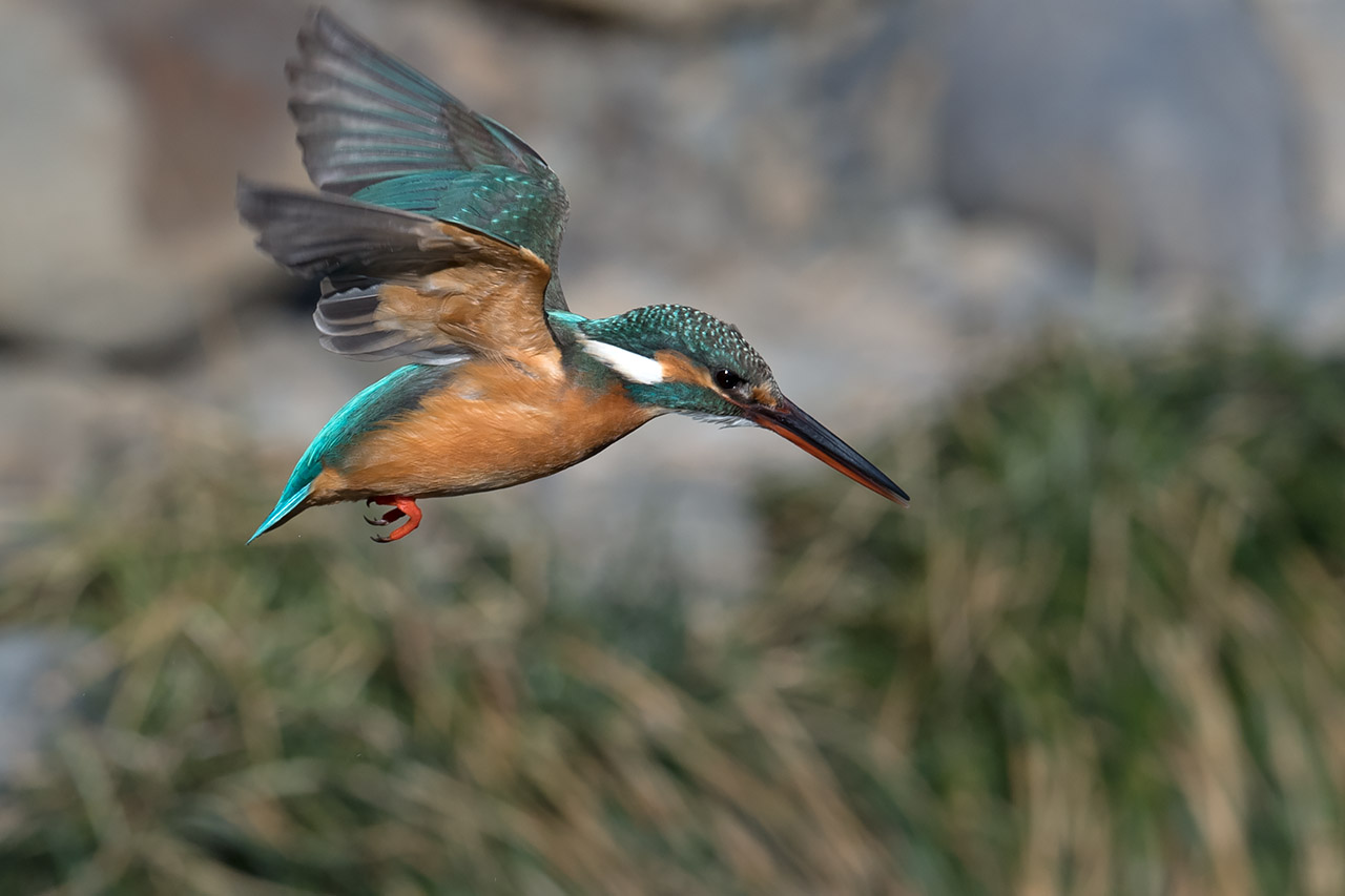 f:id:xjmarin:20210220190103j:plain