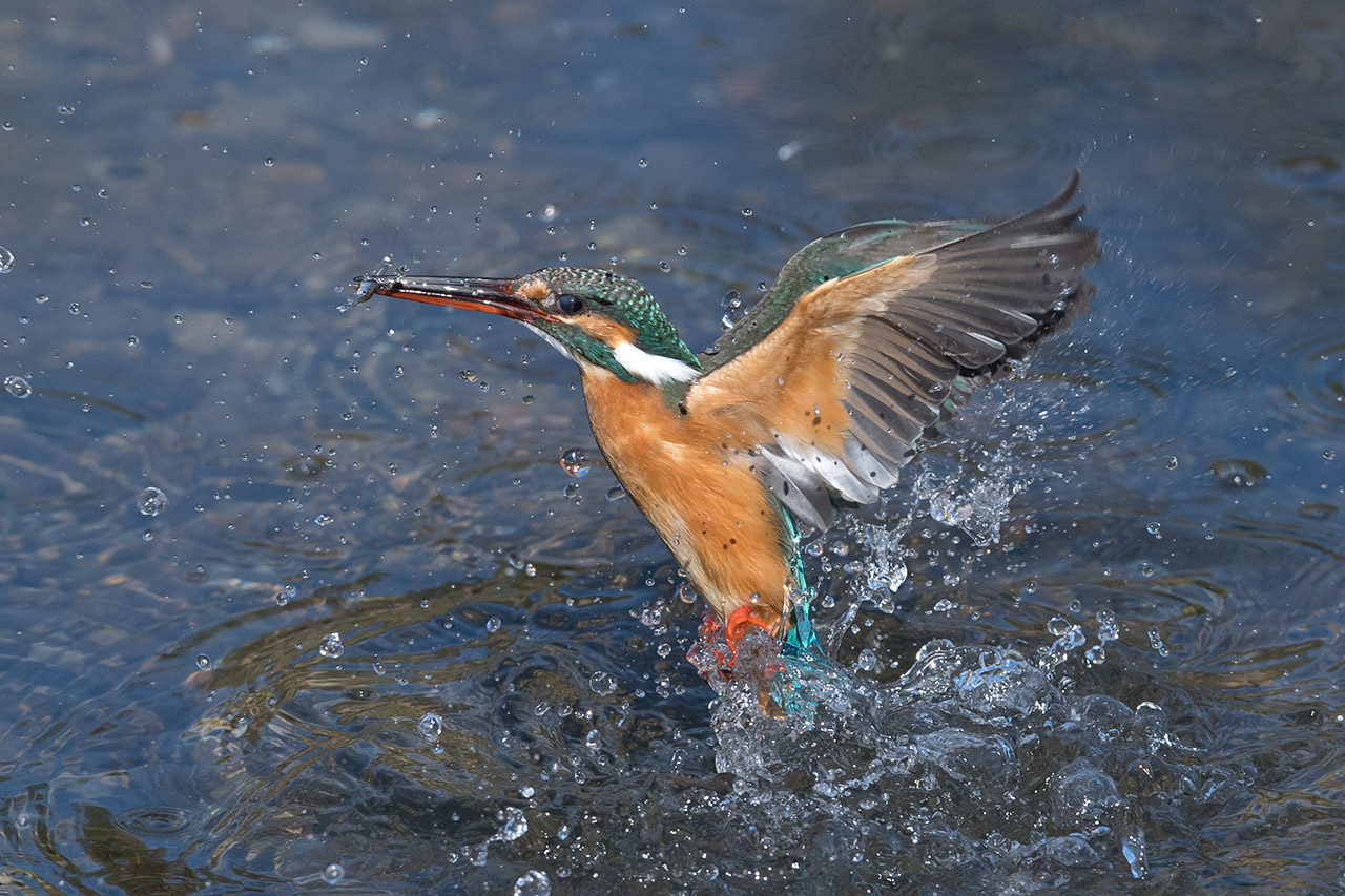 f:id:xjmarin:20210220190133j:plain