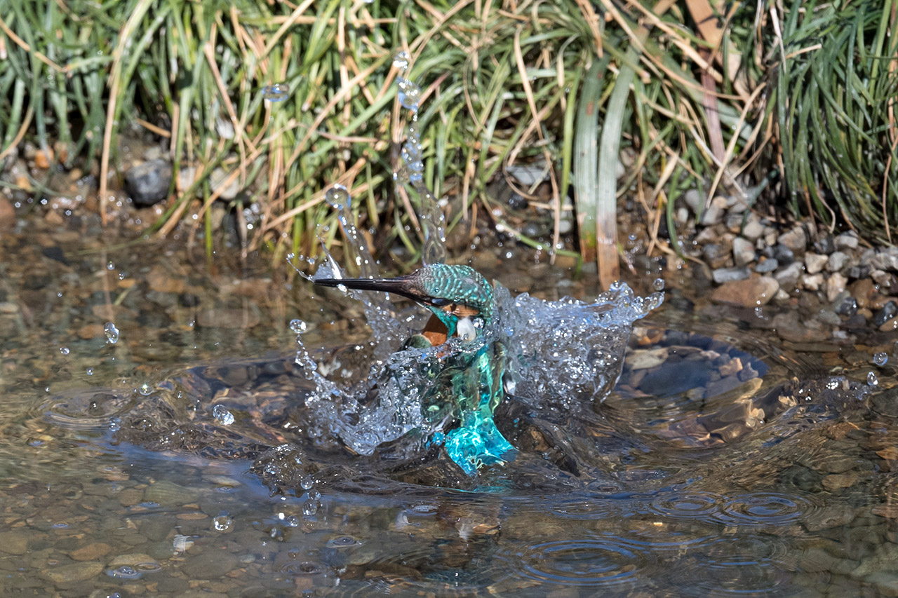 f:id:xjmarin:20210220190150j:plain