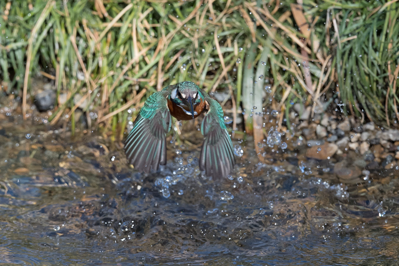 f:id:xjmarin:20210220190154j:plain