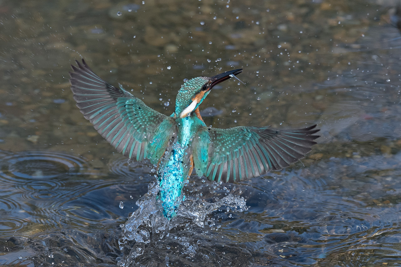 f:id:xjmarin:20210220190157j:plain