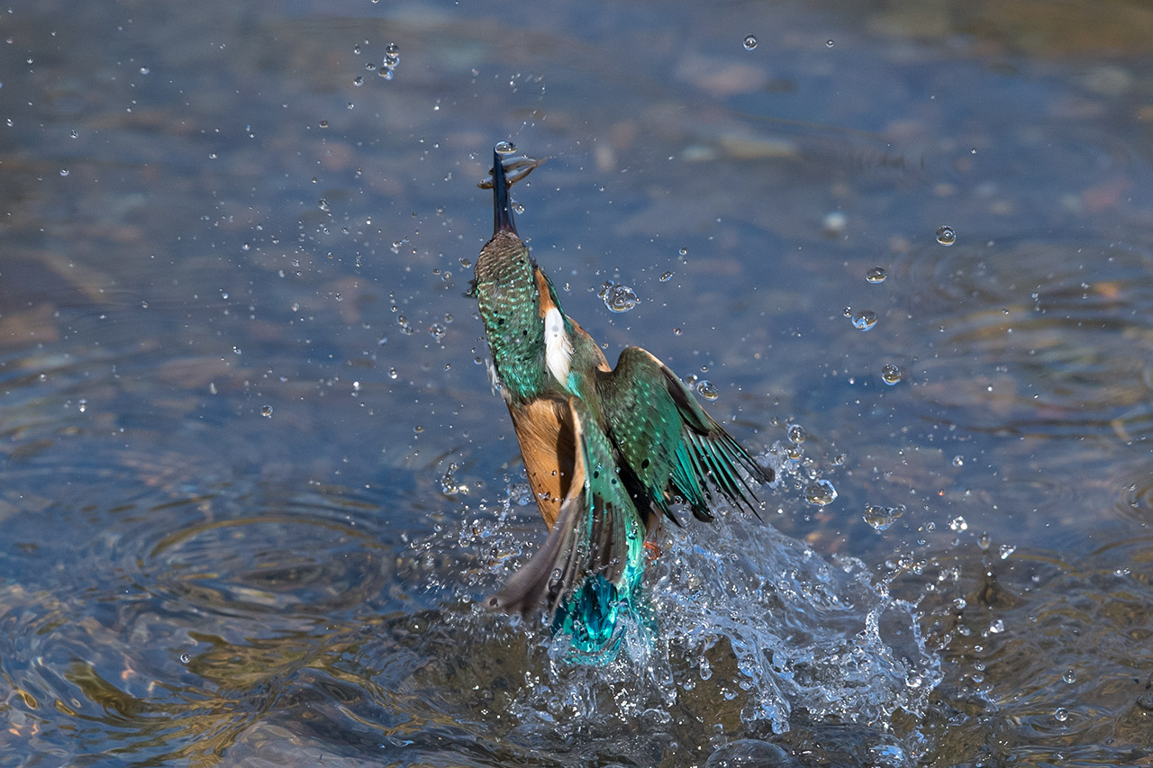 f:id:xjmarin:20210220190201j:plain