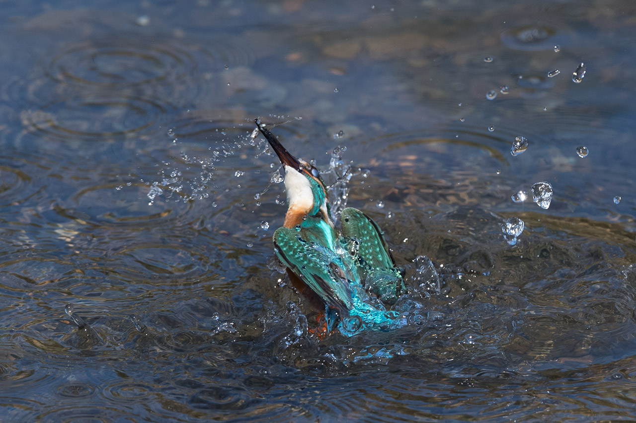 f:id:xjmarin:20210220190206j:plain