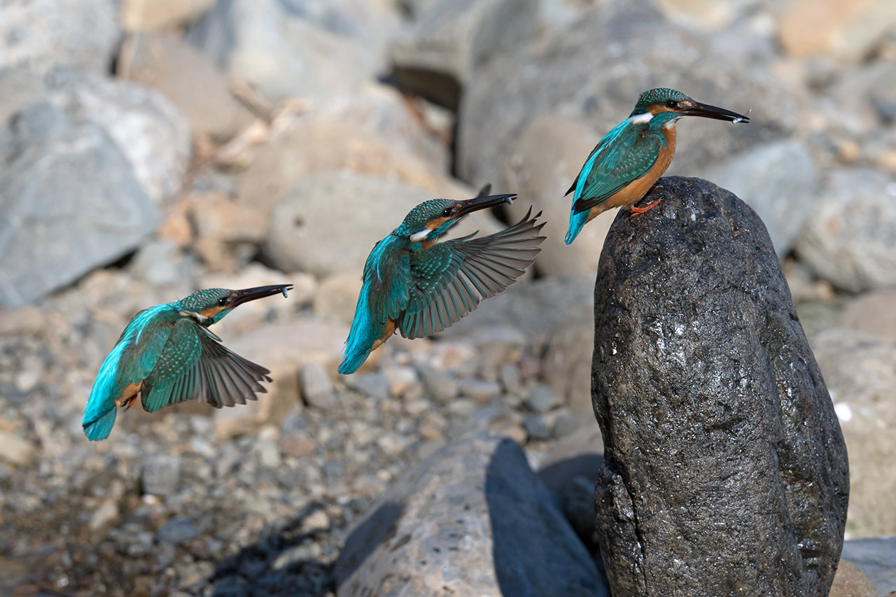 f:id:xjmarin:20210220190208j:plain