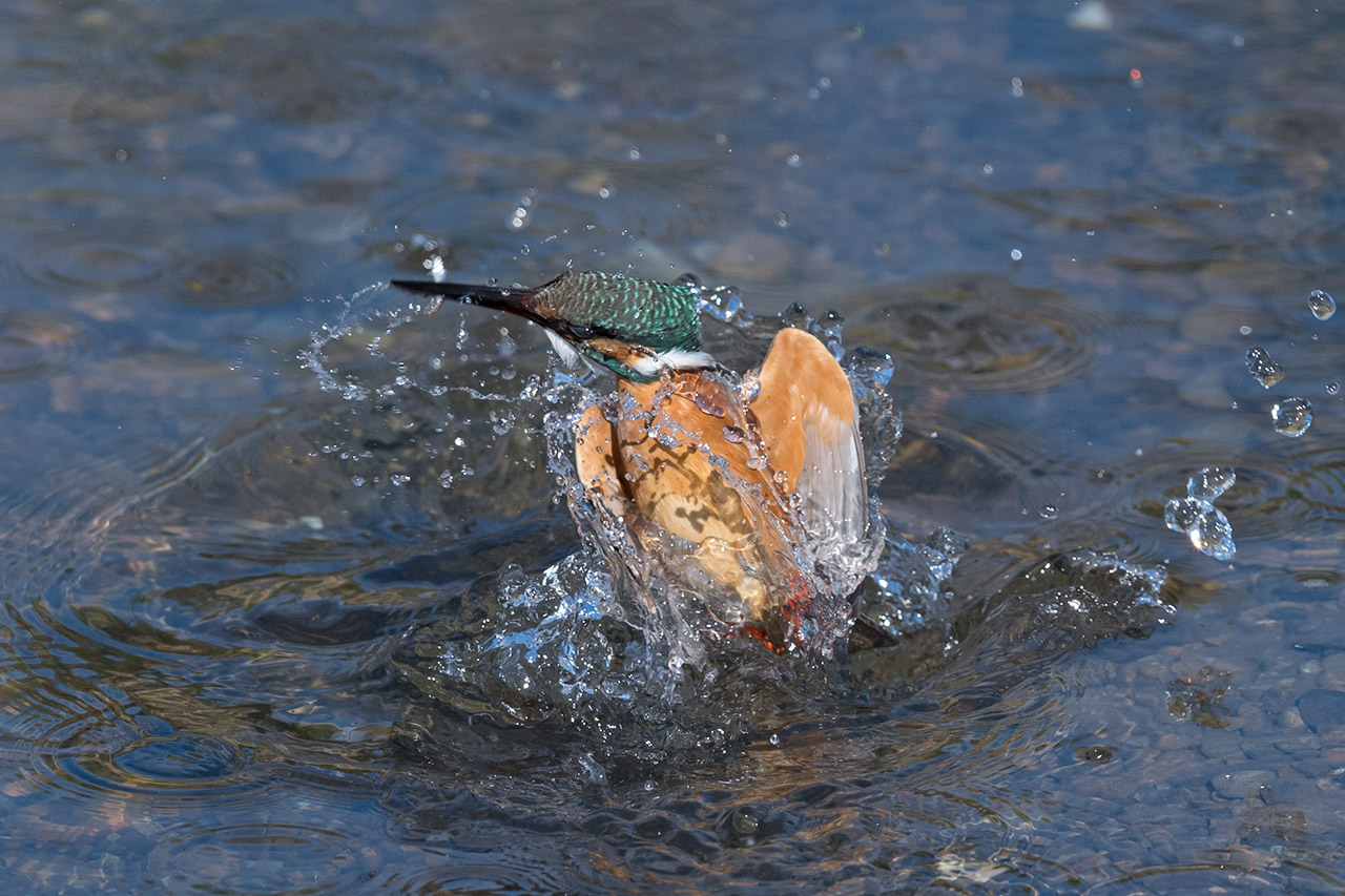 f:id:xjmarin:20210220190212j:plain